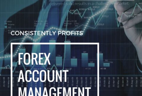 Why You Should Get A Managed Forex Account