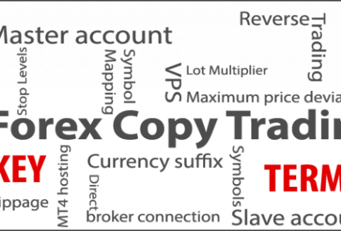 Terminology In Forex