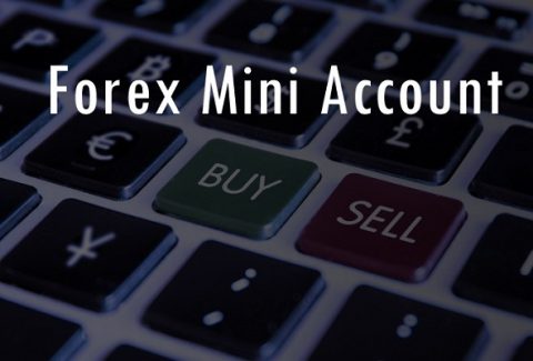 What A Forex Mini Account