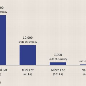 What Is A Mini Lot