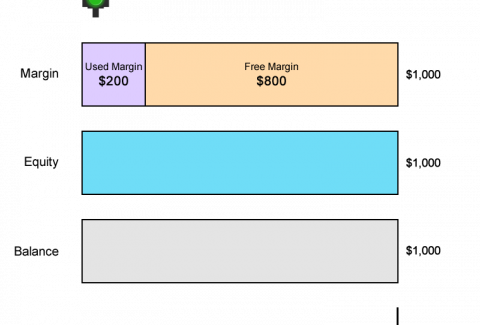 margin-call-level-usdchf-example1