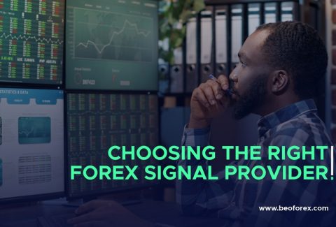 Choosing the Right Forex Signal Provider