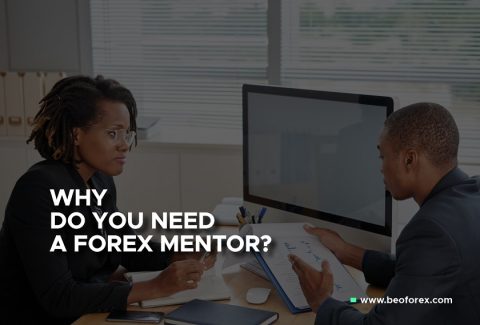 Why do you need a forex mentor