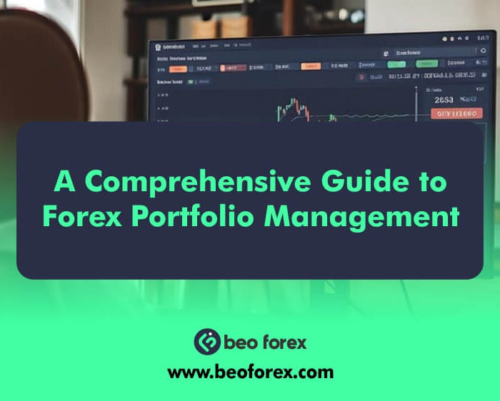 A Comprehensive Guide to Forex Portfolio Management