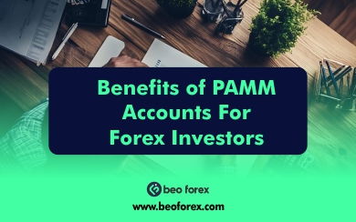 Benefits of PAMM accounts for Forex investors