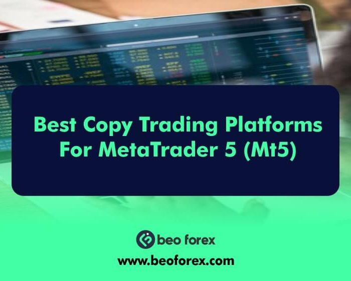 Best Copy Trading Platforms For MetaTrader 5 (MT5)