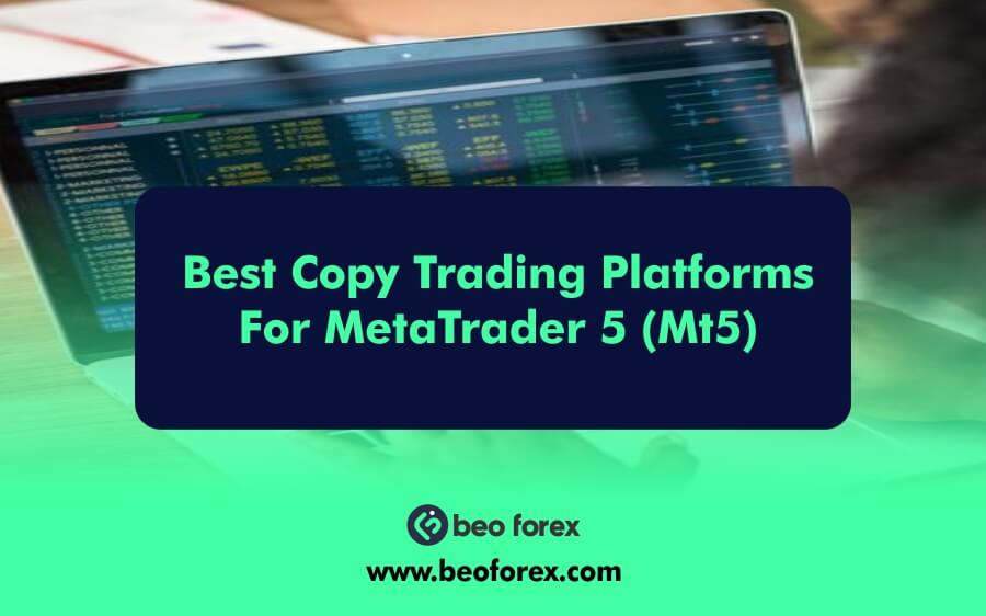 Best Copy Trading Platforms For MetaTrader 5 (MT5)