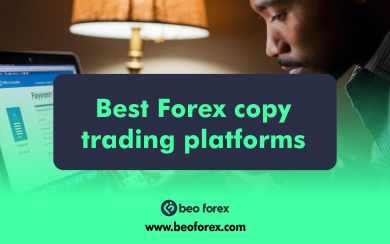 Best Forex copy trading platforms