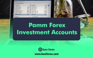 Best PAMM Forex investment accounts