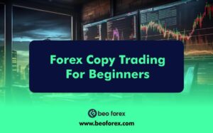 Forex Copy Trading For Beginners