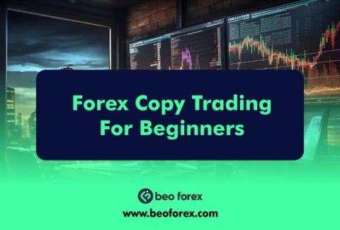 Forex Copy Trading For Beginners