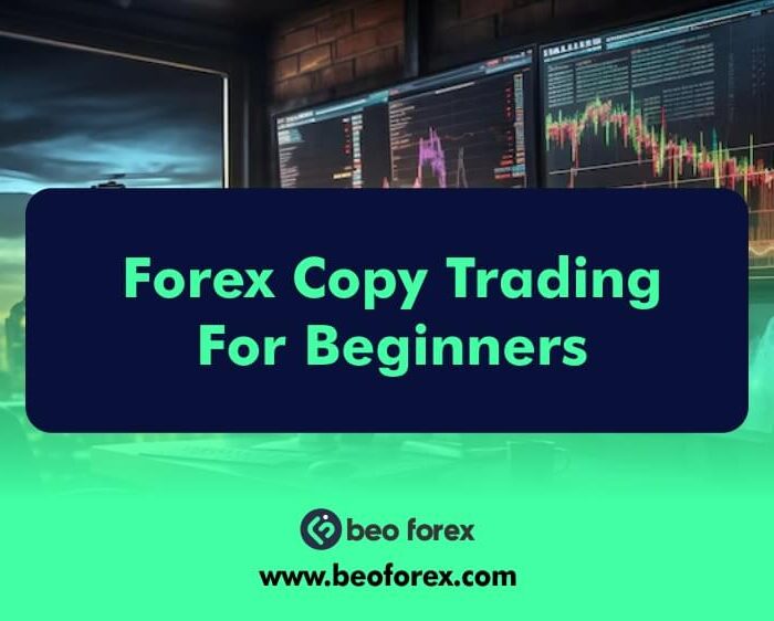 Forex Copy Trading For Beginners