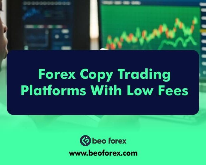 Forex Copy Trading Platforms With Low Fees