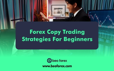 Forex Copy Trading Strategies For Beginners