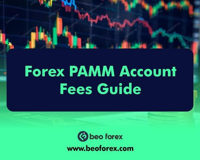 Forex PAMM Account Fees Guide