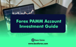 Forex PAMM Account Investment Guide