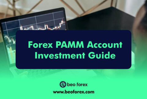 Forex PAMM Account Investment Guide