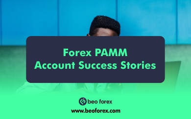 Forex PAMM Account Success Stories: What You Can Learn