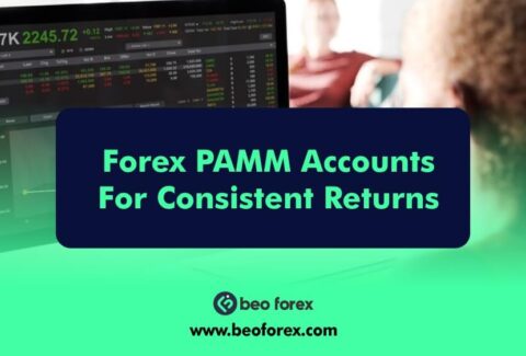 Forex PAMM Accounts For Consistent Returns