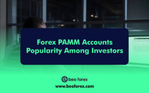 Forex PAMM Accounts Popularity Among Investors