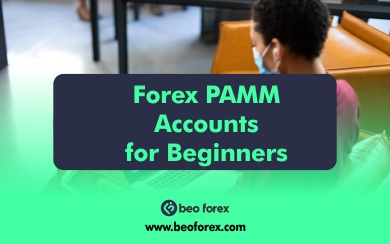 Forex PAMM Accounts for Beginners: The Ultimate Start Guide