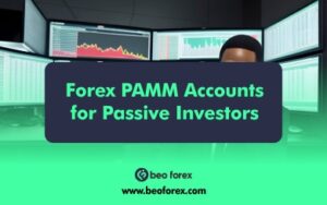 Forex PAMM Accounts for Passive Investors