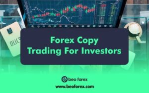 Forex copy trading for investors