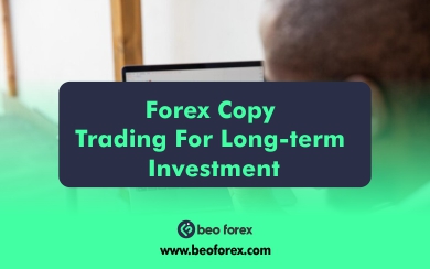 Forex copy trading for long-term investment