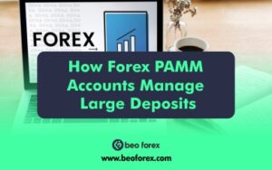 How Forex PAMM Accounts Manage Large Deposits