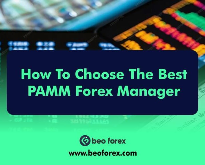 How To Choose The Best PAMM Forex Manager