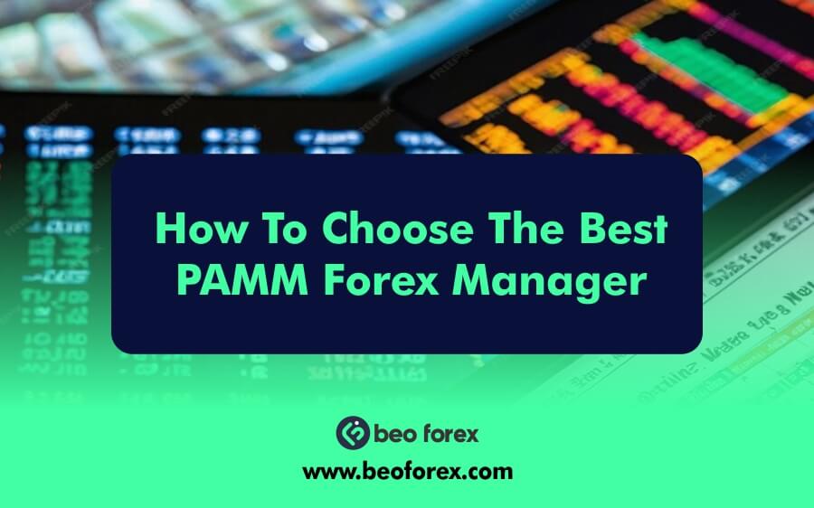 How To Choose The Best PAMM Forex Manager