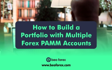 How to Build a Portfolio with Multiple Forex PAMM Accounts