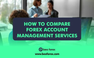 How to Compare Forex Account Management Services