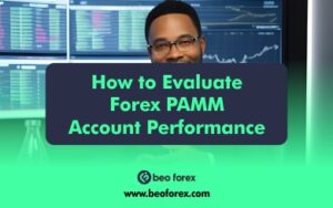 How to Evaluate Forex PAMM Account Performance