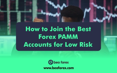 How to Join the Best Forex PAMM Accounts for Low Risk