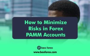 How to Minimize Risks in Forex PAMM Accounts