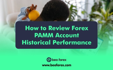 How to Review Forex PAMM Account Historical Performance