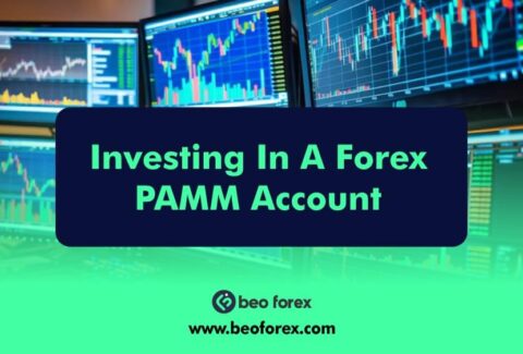 Investing In A Forex PAMM Account