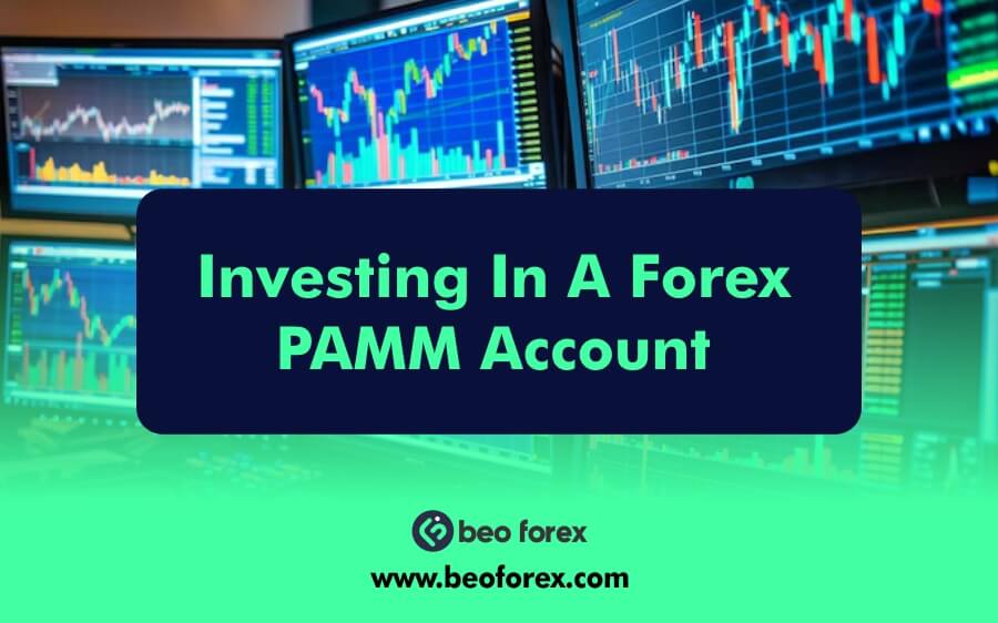 Investing In A Forex PAMM Account