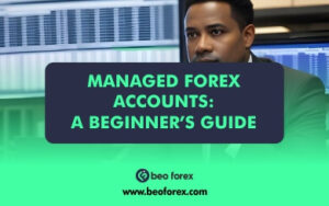 Managed Forex Accounts: A Beginner’s Guide