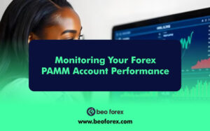 Monitoring Your Forex PAMM Account Performance