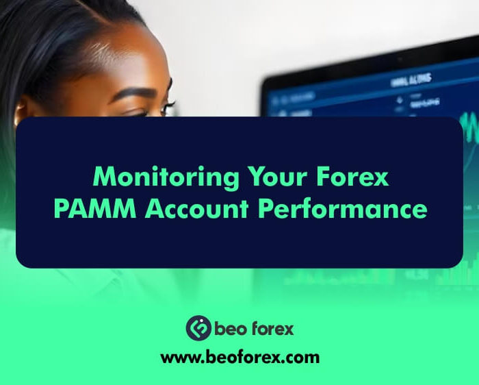 Monitoring Your Forex PAMM Account Performance