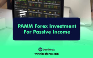 PAMM Forex Investment For Passive Income