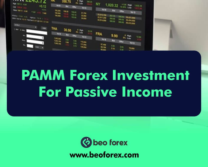 PAMM Forex Investment For Passive Income