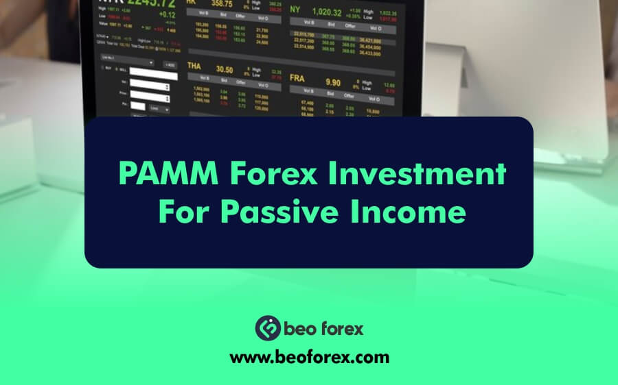 PAMM Forex Investment For Passive Income