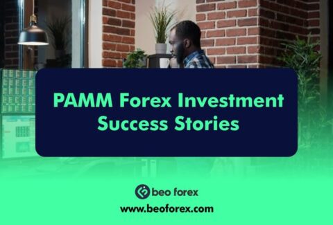 PAMM Forex Investment Success Stories