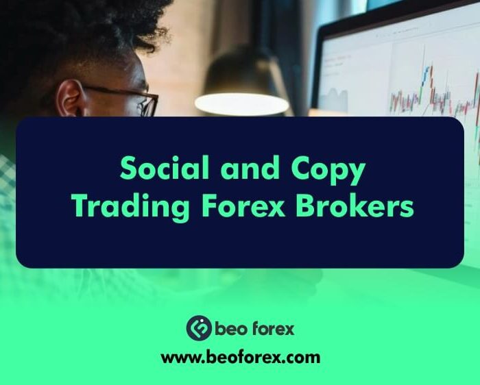 Social and Copy Trading Forex Brokers