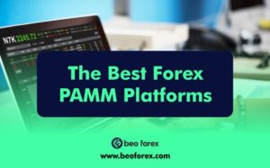 The Best Forex PAMM Platforms