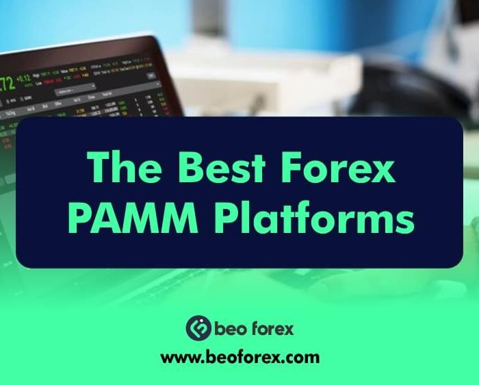 The Best Forex PAMM Platforms