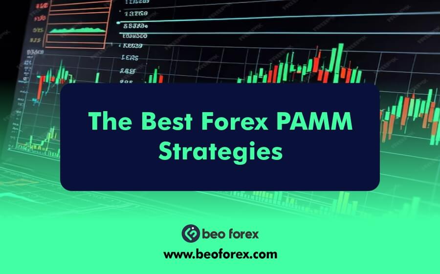 The Best Forex PAMM Strategies